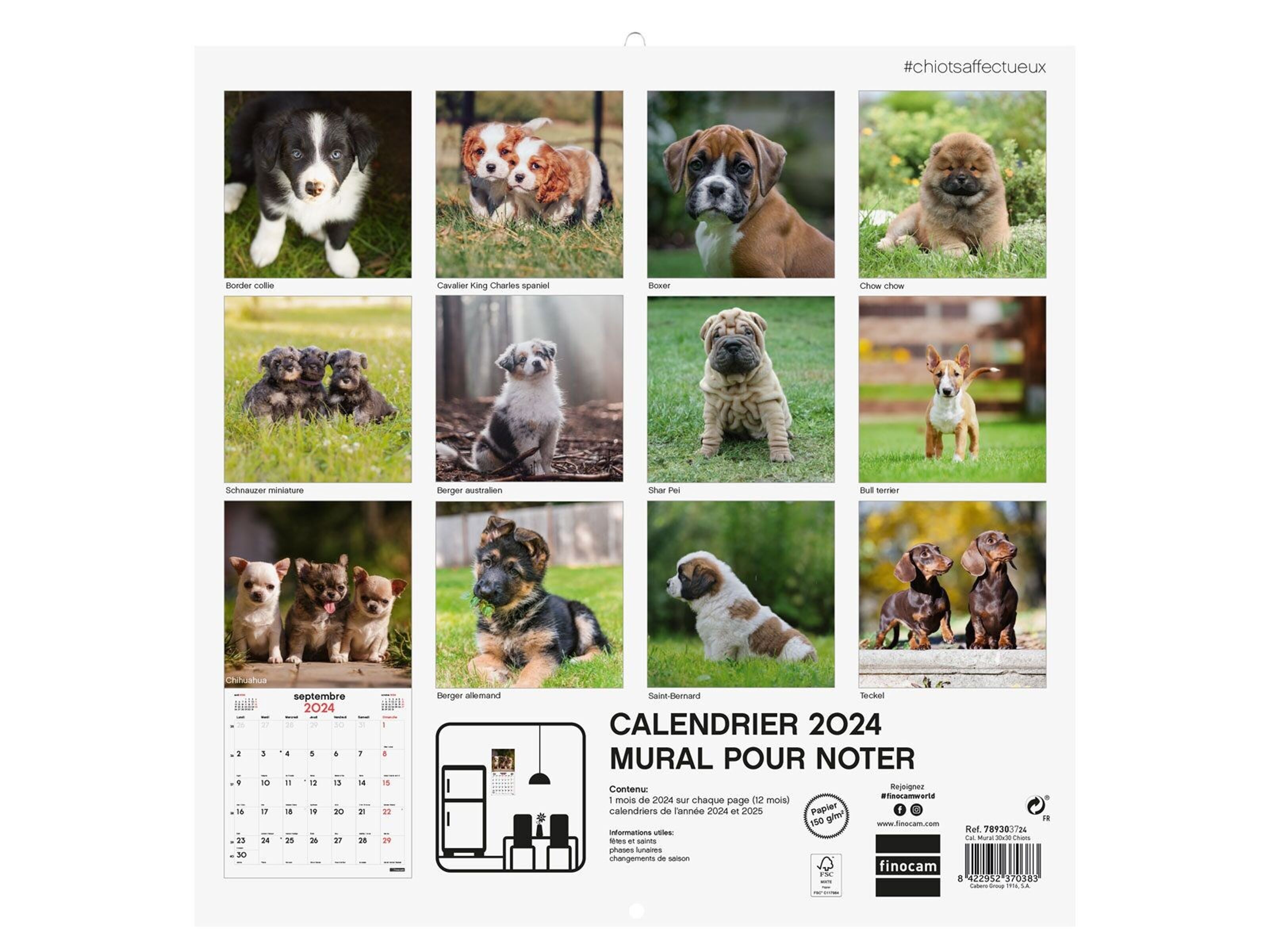 Buy wholesale Finocam - Neutral Wall Calendar for Noting 2024 January 2024  - December 2024 (12 months) English