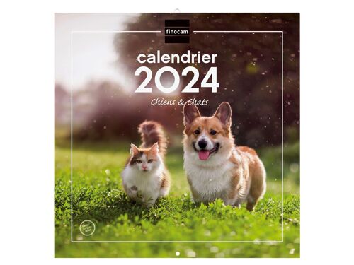Buy wholesale Finocam - 30x30 Picture Wall Calendar for Noting 2024 January  2024 - December 2024 (12 Months) French Puppies