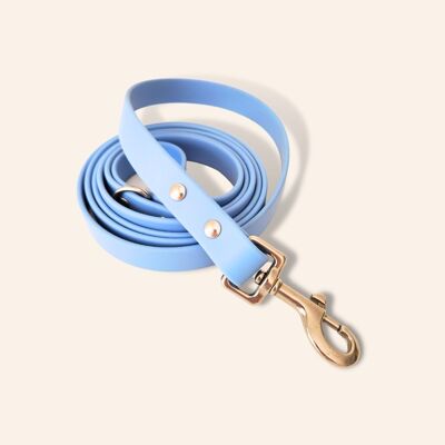 Waterproof dog leash - Glacier color