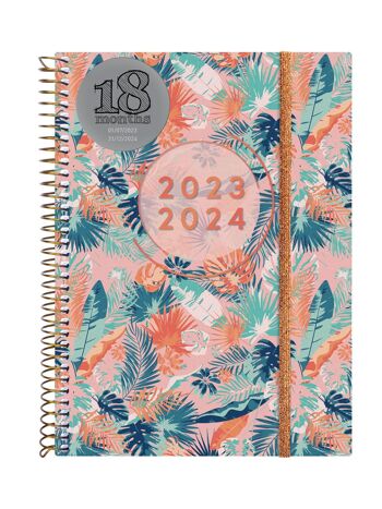 Buy wholesale Finocam - Diary Espiral 18 months 2023 2024 2 days per page  July 2023 - December 2024 (18 months) Girl International