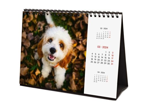 Finocam - Calendrier Images Bureau 2024 Janvier 2024 - Décembre 2024 (12 mois) Dogs International