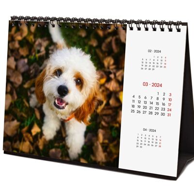 Finocam - Calendrier Images Bureau 2024 Janvier 2024 - Décembre 2024 (12 mois) Dogs International