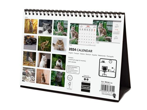Finocam - Calendrier Images Bureau 2024 Janvier 2024 - Décembre 2024 (12 mois) Cats International