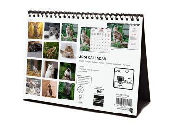 Finocam - Calendrier Images Bureau 2024 Janvier 2024 - Décembre 2024 (12 mois) Cats International 1