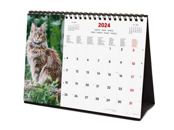 Finocam - Calendrier Images Bureau 2024 Janvier 2024 - Décembre 2024 (12 mois) Cats International 5