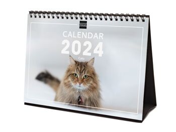 Finocam - Calendrier Images Bureau 2024 Janvier 2024 - Décembre 2024 (12 mois) Cats International 6