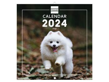 Finocam - Calendrier Images Mural 2024 Janvier 2024 - Décembre 2024 (12 mois) Dogs International 10