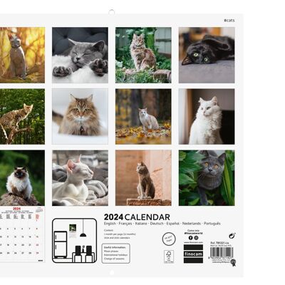 Finocam - Calendrier Images Mural 2024 Janvier 2024 - Décembre 2024 (12 mois) Cats International