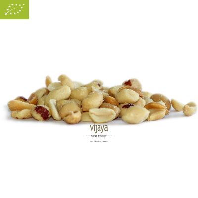 GETROCKNETE FRÜCHTE / Gesalzene, gegrillte, geschälte Erdnüsse – CHINA – 2 x 5 kg – Biologisch* (*Bio-zertifiziert nach FR-BIO-10)