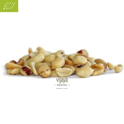 FRUTOS SECOS / Maní sin cáscara a la parrilla salado - CHINA - 2 x 5 kg - Orgánico* (*Certificado Orgánico por FR-BIO-10)