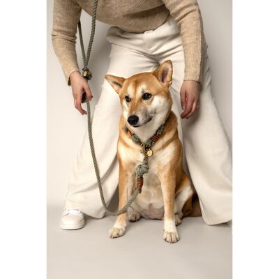 HANDS-FREE dog leash - twisted rope - AMAZONE
