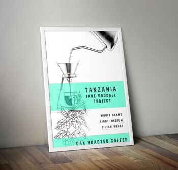 Tanzanie Projet Gombe Jane Goodall - Filtre 2