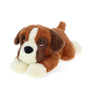 Assortiment 24 peluches Chiens 22cm - KEELECO 5