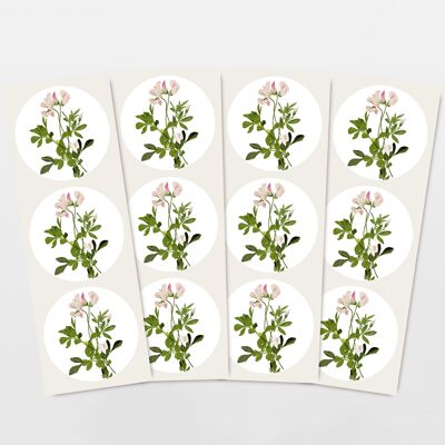 Set adesivi 12 adesivi regalo trifoglio millefiori rosa