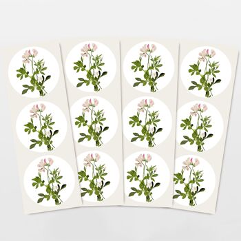 Sticker set 12 stickers cadeaux trèfle fleur sauvage rose 1