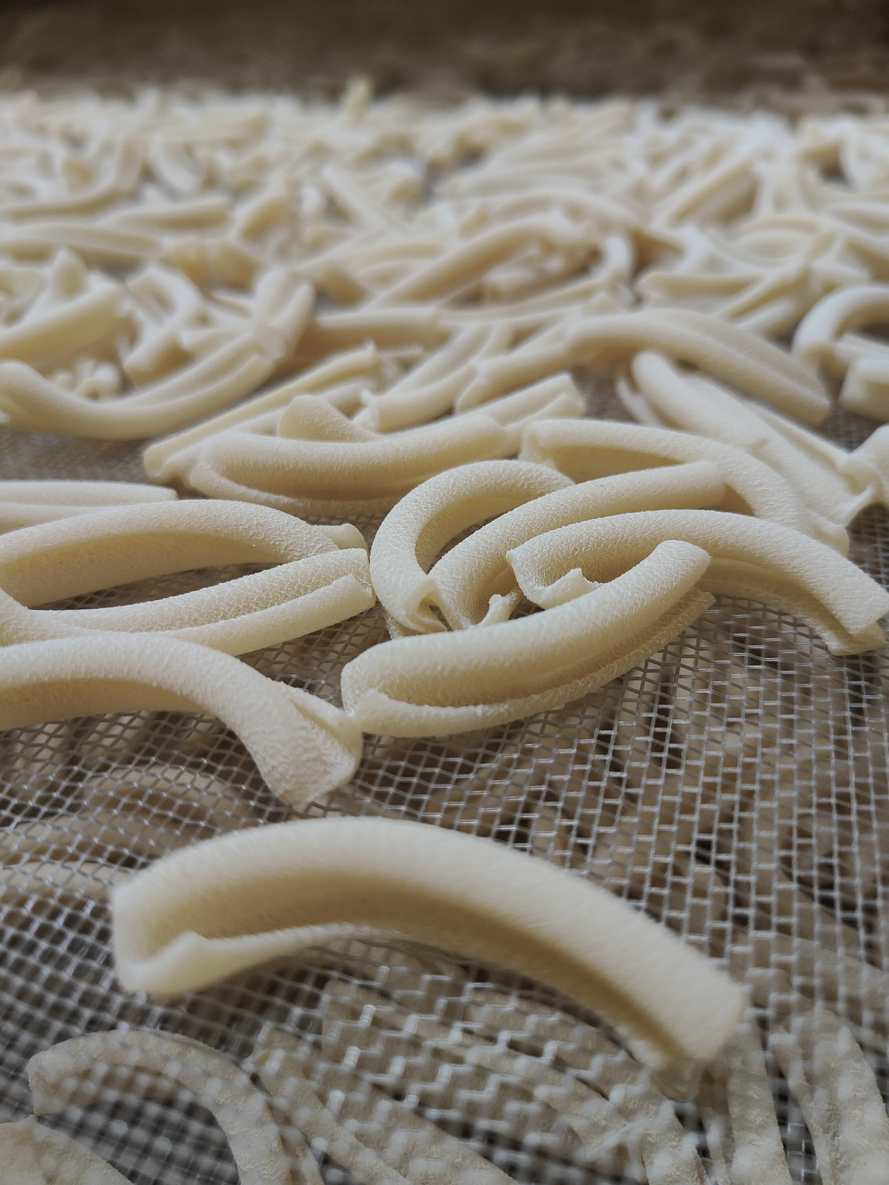 Caserecce al Grano Saraceno Integrale