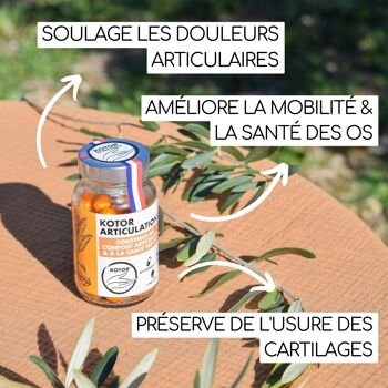 Kotor® Articulations - Soulage les Douleurs Articulaires - 60 Capsules - Made in Provence 2