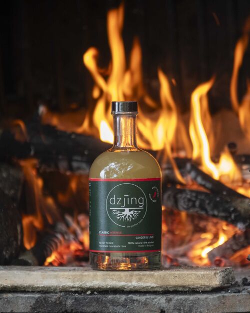 DZJING.Classic INTENSE 500ML (EXTRA GINGER, EXTRA SPICY)