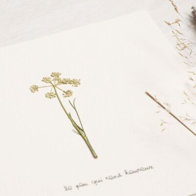 Kerbel Poetisches Herbarium • 23 Blumen x Erzählung • Karte 15×15 cm