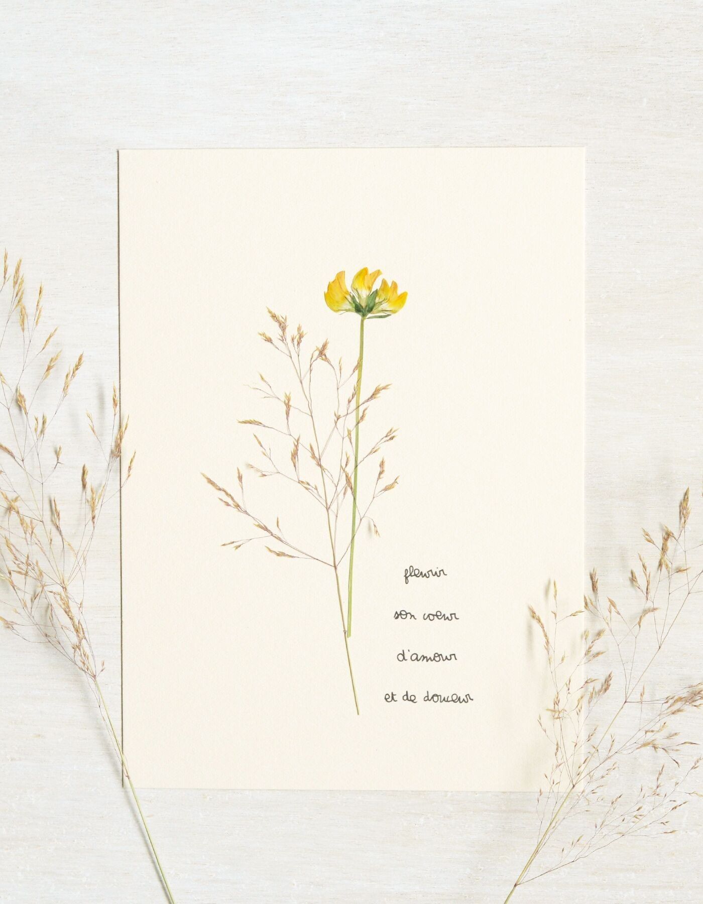 Erbario Poetico Trifoglio • 23fiori x Narrazione • Scheda 13×18 cm