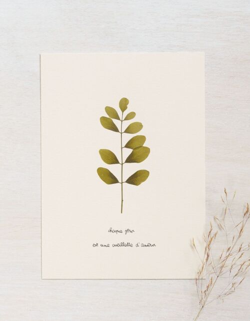 Herbier poétique Acacia • 23fleurs x Narrature • Carte 13×18 cm
