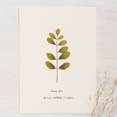Acacia Poetic Herbarium • 23flowers x Narrature • Card 13×18 cm