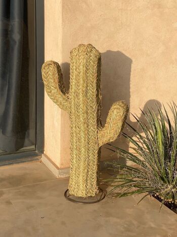 Cactus en doum 0.8 m 3
