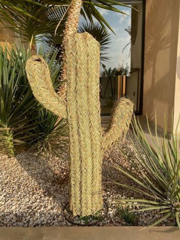 Cactus en doum 0.8 m 4