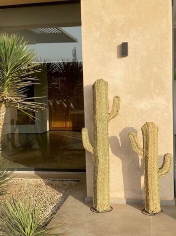 Cactus en doum 0.8 m 5