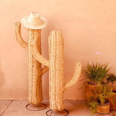 Cactus in doum 1 m