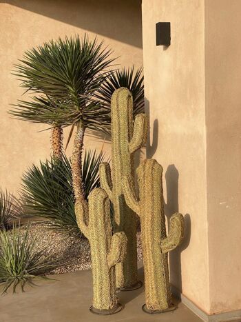 Cactus en doum 1 m 4