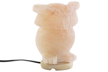 LAMPE DE TABLE SALT ACACIA 14X14X18 NATUREL HIBOU LA207665 5