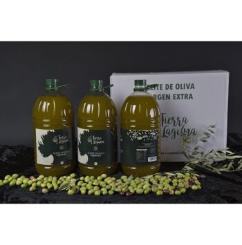 Bouteille de 5 litres d'huile d'olive extra vierge. Variété Arbequina (Boîte de 3 unités) 3