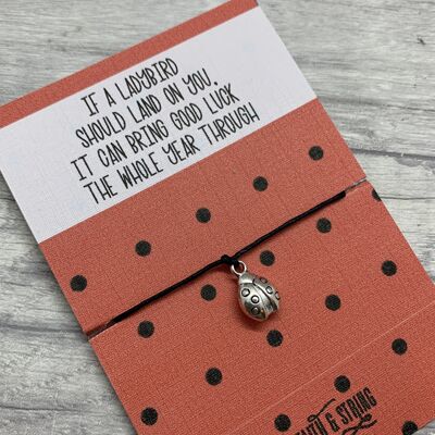 Ladybug Gift, Ladybug charm, ladybird charm bracelet, lucky ladybug, ladybug bracelet, lucky ladybird, lucky charm bracelet