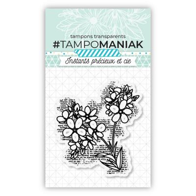 Stamp sets clear - 7.5x7cm - PTM-0011