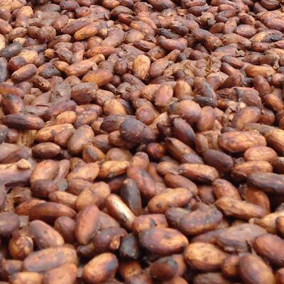 Granos de cacao crudo - 1 Kg
