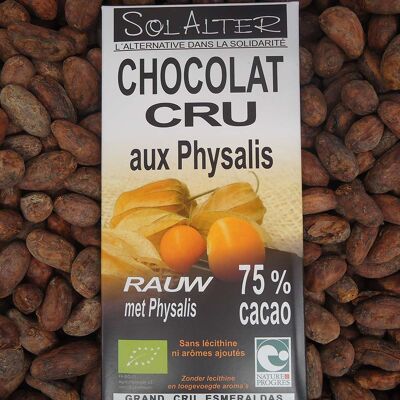 Raw dark chocolate with Physalis