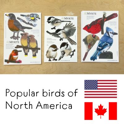 North American Birds Wall Stickers MYRTE