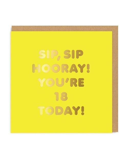 Age 18 Today Sip, Sip Greeting Card