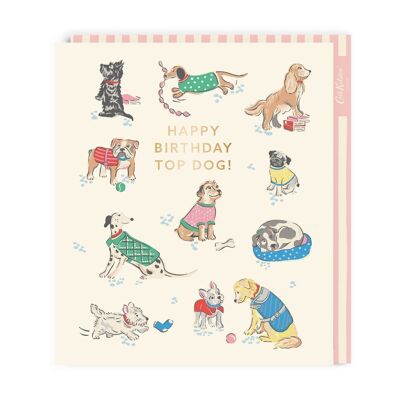 Cath Kidston Top Dog Grande carte de vœux d'anniversaire