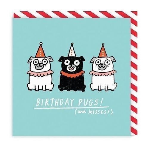 Birthday Pugs Square Greeting Card