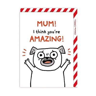 Creo que eres una tarjeta increíble para el día de la madre