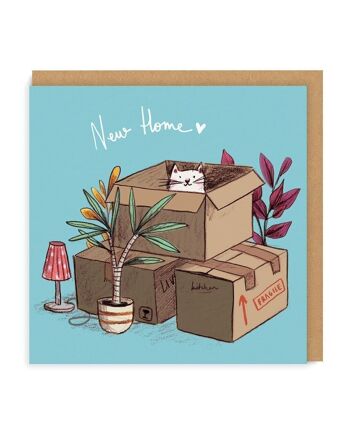Nouvelles boîtes à chats pour la maison Carte de vœux 1