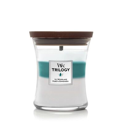 Icy Woodland Trilogy Medium Hourglass Wood Wick Candle