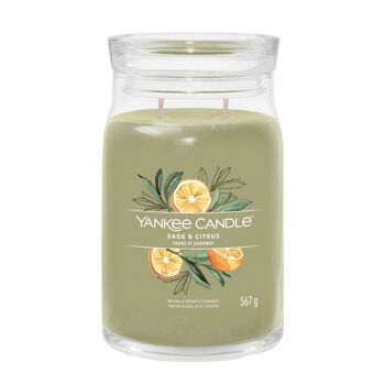 Yankee Candle en pot Signature Sauge et Agrumes 1