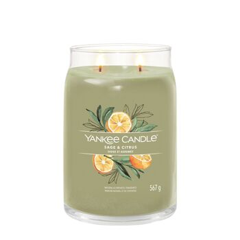 Yankee Candle en pot Signature Sauge et Agrumes 2