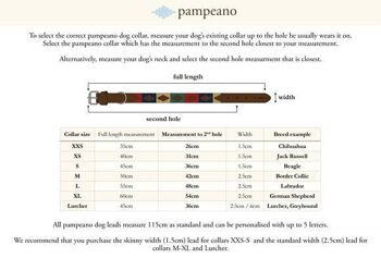 Collier pour chien Pampa - Paramo 3