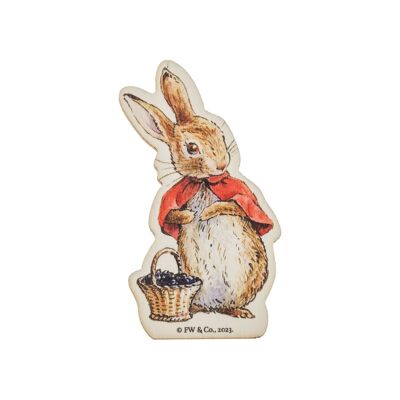 Flopsy Wooden Magnet