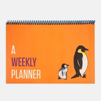 Contrasting Set Weekly Planners: Orange