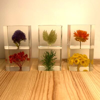 Blumenwürfel | In Harz konservierte Blume | Freundschaftsgeschenk, beste Freundin, Geschenk für sie, Jubiläumsgeschenk, Hochzeitsgeschenke